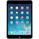 iPad Air Parts