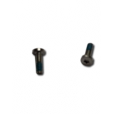 iPhone 4 Pentalobe Screws